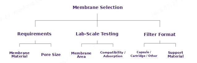 dddf2232-f7b8-4ff1-979f-01c6ada288b6.png
