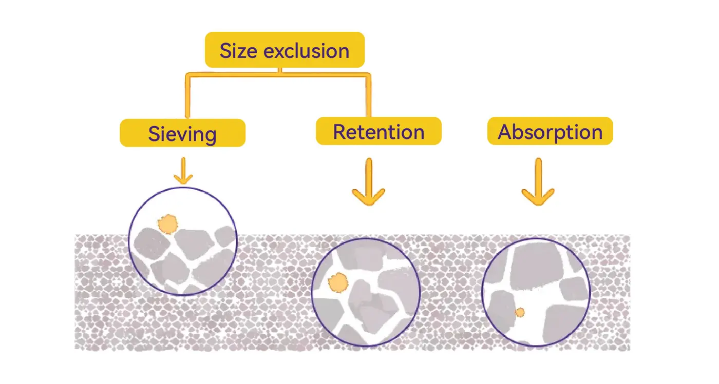 How Filters Catch Bacteria?.jpg