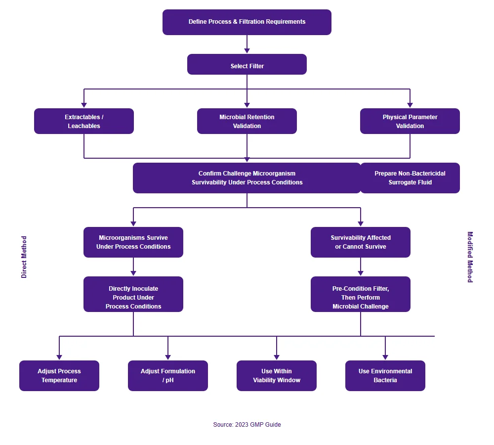 gmp-microbial-challenge-flow-en.png