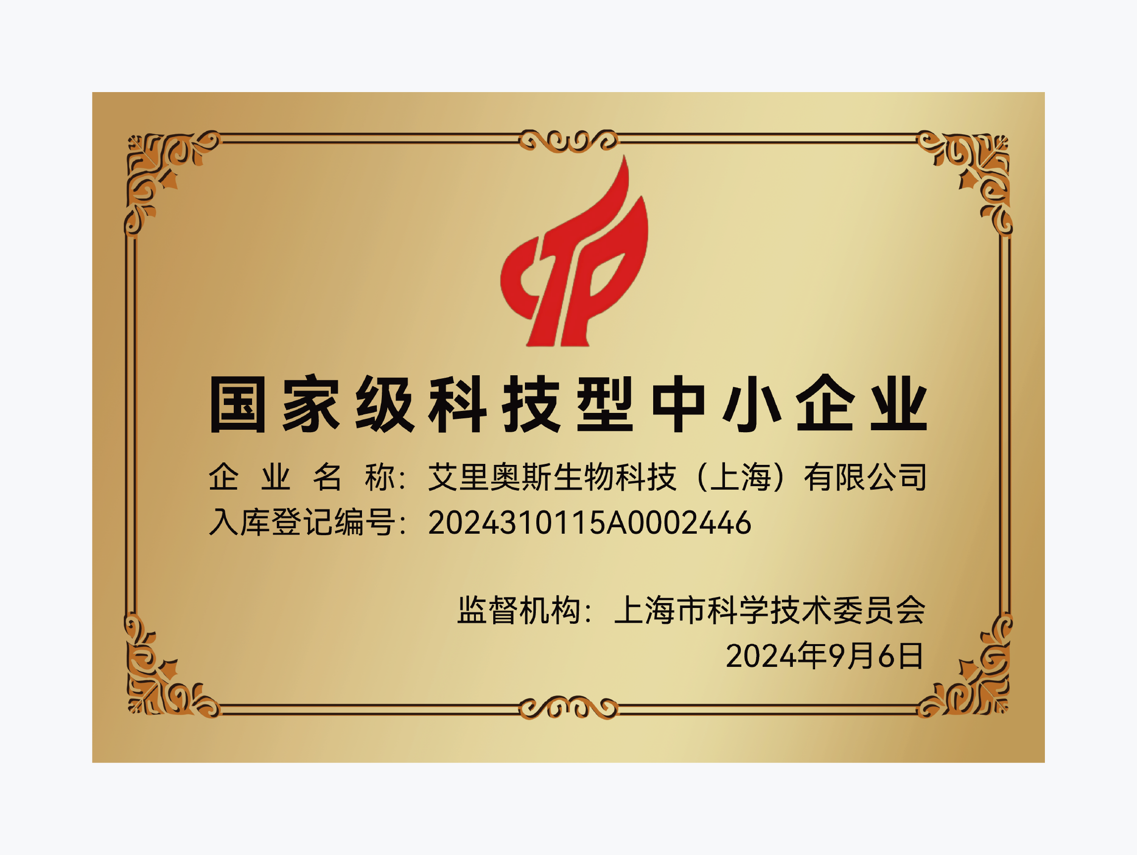 国家级科技型中小企业